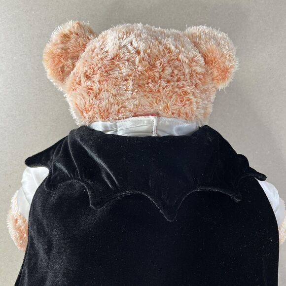 Build-A-Bear Workshop Vampire Teddy Bear Plush Halloween Dracula Costume Toy - Picture 7 of 11